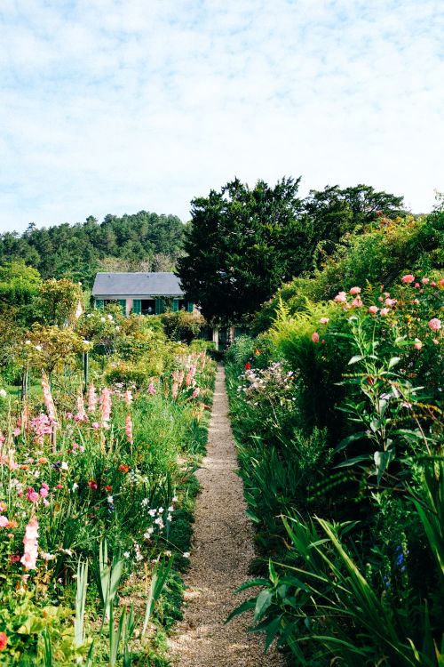 Free A scenic garden path surrounded by vibrant flowers leading to a charming house. Stock Photo