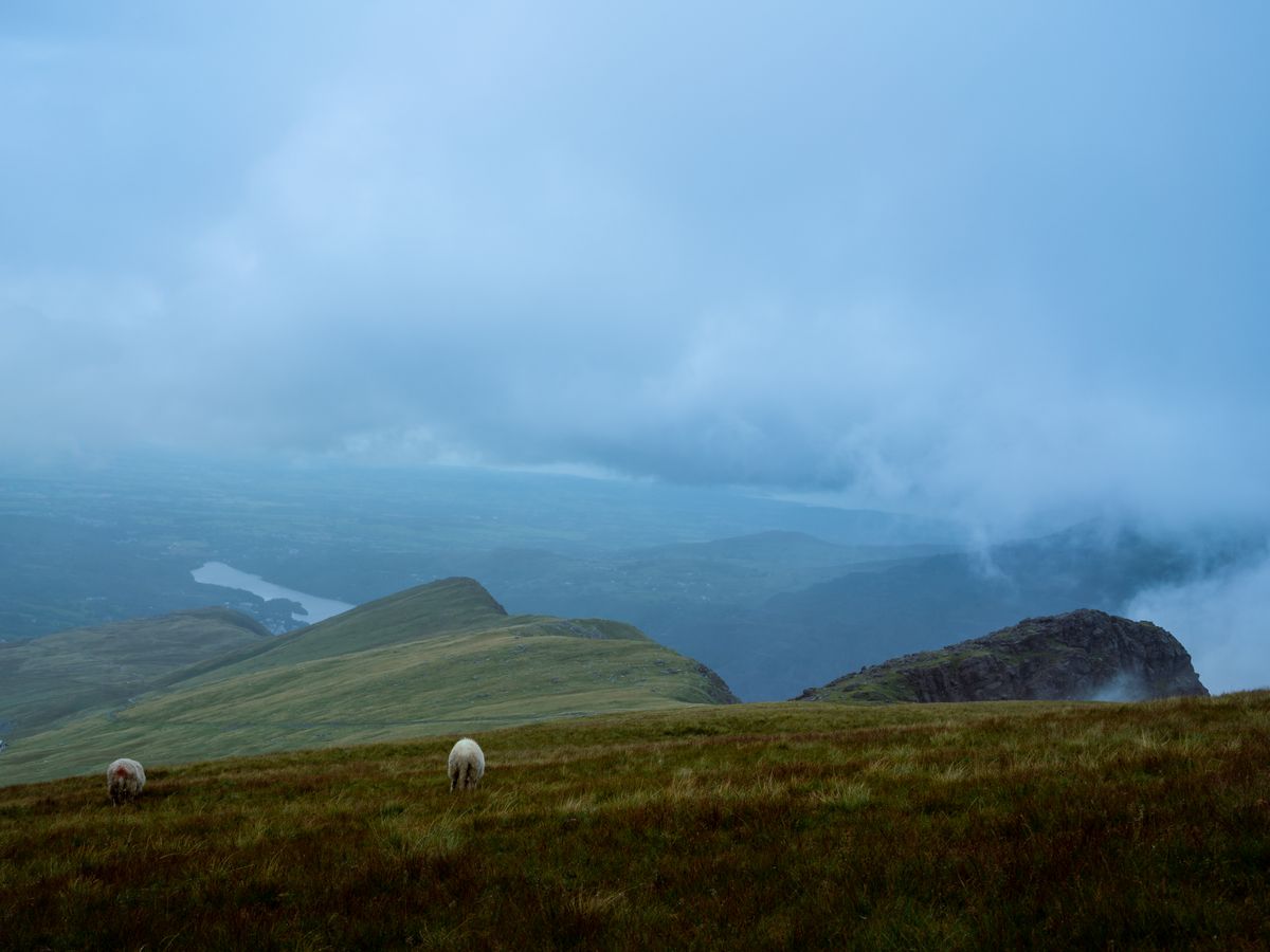 4 Day Yoga and Singing Retreat in Wales, UK 2