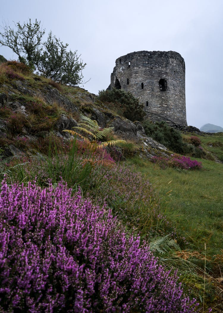 The Dolbadarn Castle