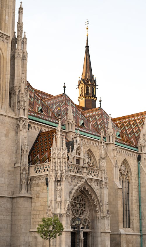 Δωρεάν στοκ φωτογραφιών με matthias εκκλησία, αρχιτεκτονικό σχέδιο, Βουδαπέστη