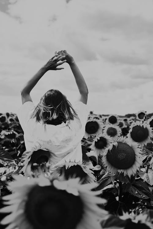 A Woman Standing on a Sunflower Field