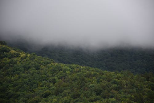 Free stock photo of beauty, beauty in nature, fog Stock Photo