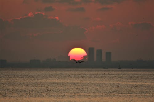 Kostenloses Stock Foto zu abendsonne, goldene sonne