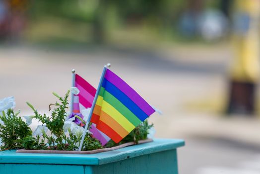 Vibrant rainbow and pride flags among blooming flowers in a city planter, symbolizing diversity.