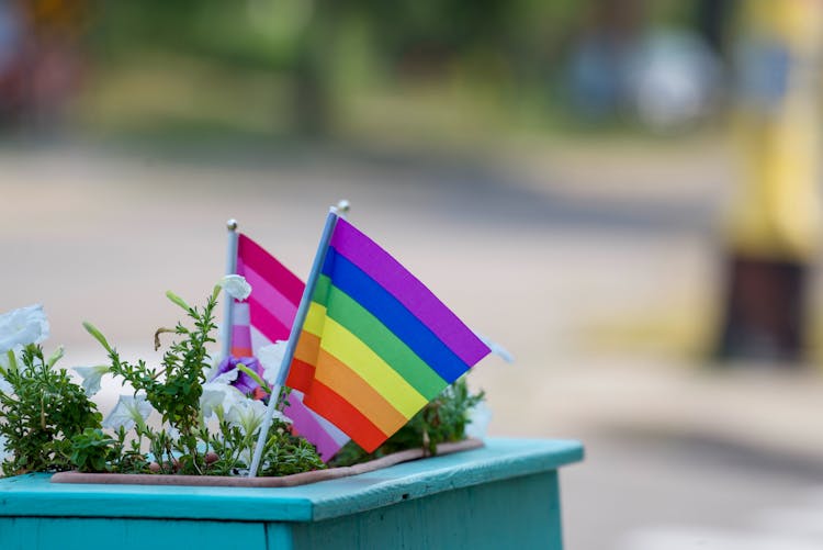 Small Colorful Flags On Potted Plant 