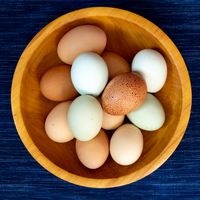 Bowl of farm eggs — photo by Graham Roy on Pexels