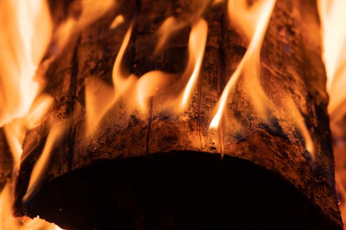 Close-Up Shot of a Burning Wood