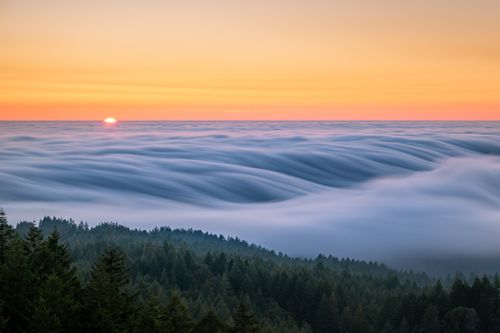 Free Captivating sunset view with rolling sea of clouds over lush green forest in serene landscape. Stock Photo