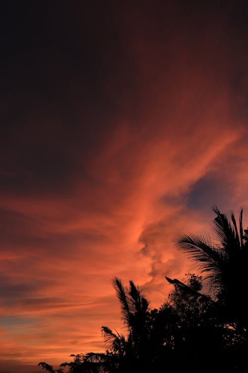 Бесплатное стоковое фото с багровое небо, вертикальный выстрел, закат фон