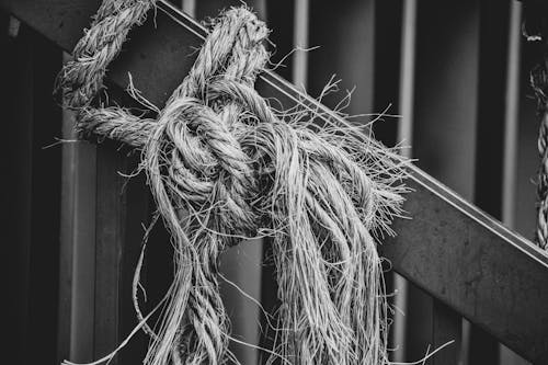 Free Grayscale Photo of Tied Rope Stock Photo