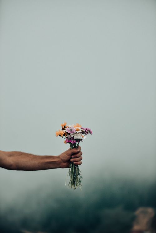 Free A hand holding a colorful bouquet of flowers outdoors against a foggy backdrop. Stock Photo