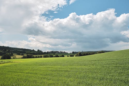 Free White Cloud Formation Over the Green Grass Field Stock Photo