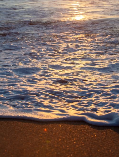 Free A serene view of sea foam and sand illuminated by the warm glow of a sunset over the ocean. Stock Photo