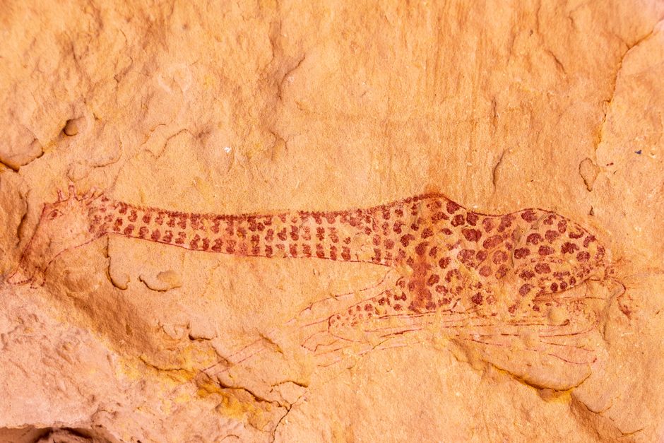 Detailed rock art of a giraffe in Tassili n'Ajjer, showcasing ancient creativity and skill.