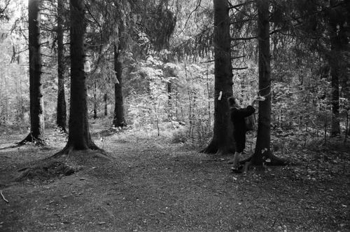 Free Explore the serenity of a forest in black and white featuring a woman among trees. Stock Photo