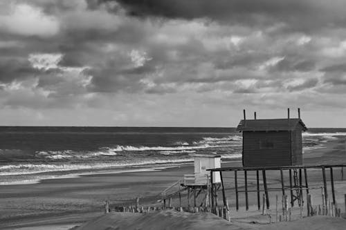 Free Grayscale Photo of a Beach Stock Photo