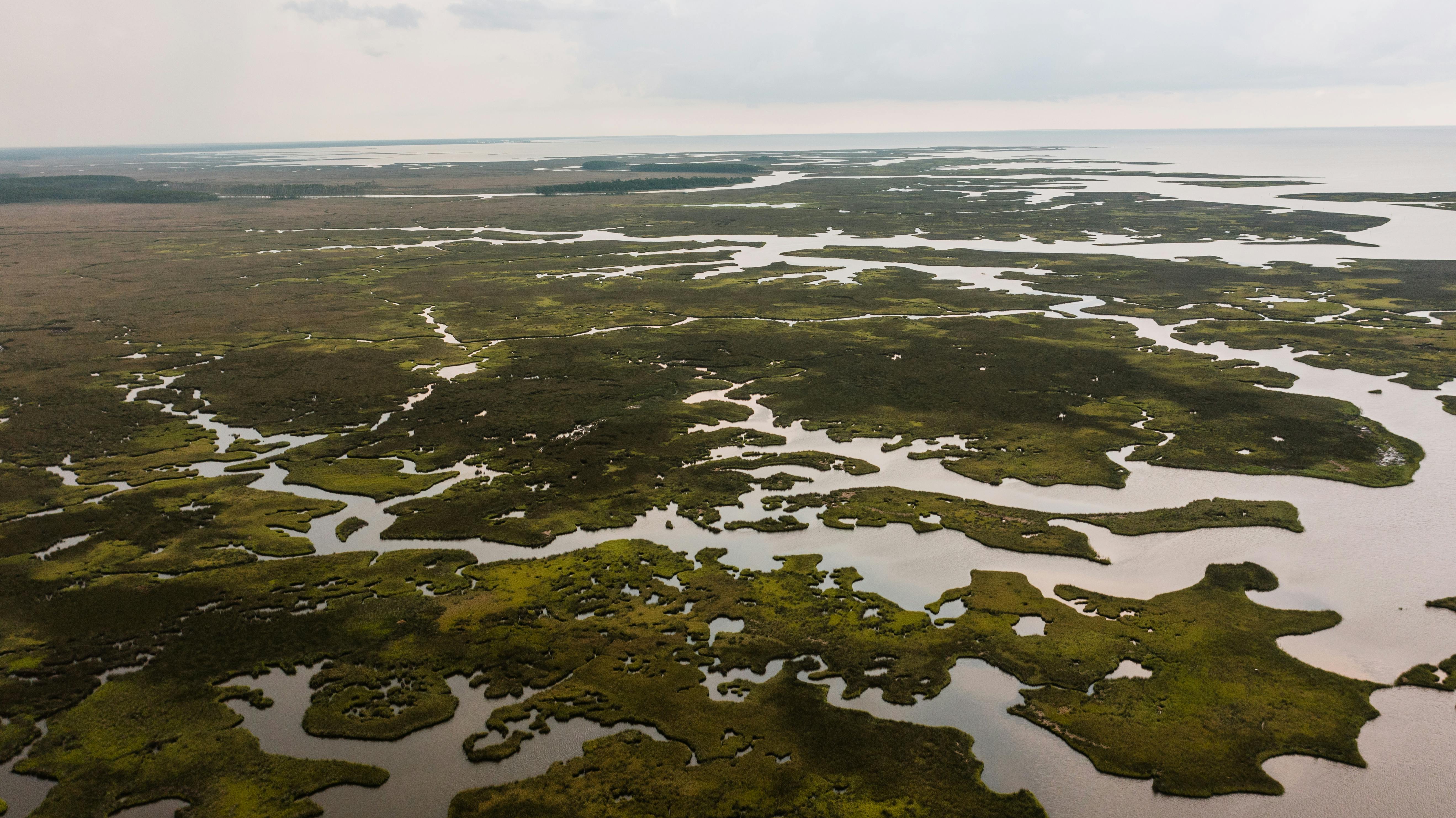 aerial view of a river