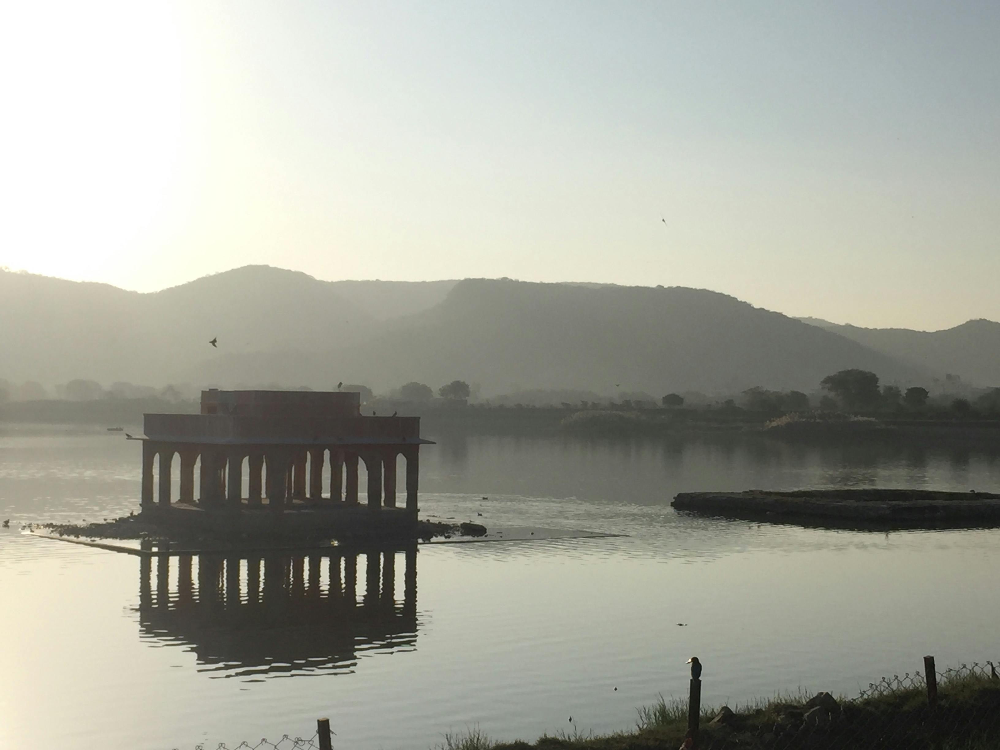 Difference Between Filtered And Unfiltered Olive Oil Difference