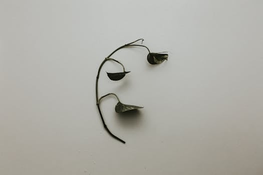 Artistic composition of dried leaves on a plain white surface, showcasing simplicity.