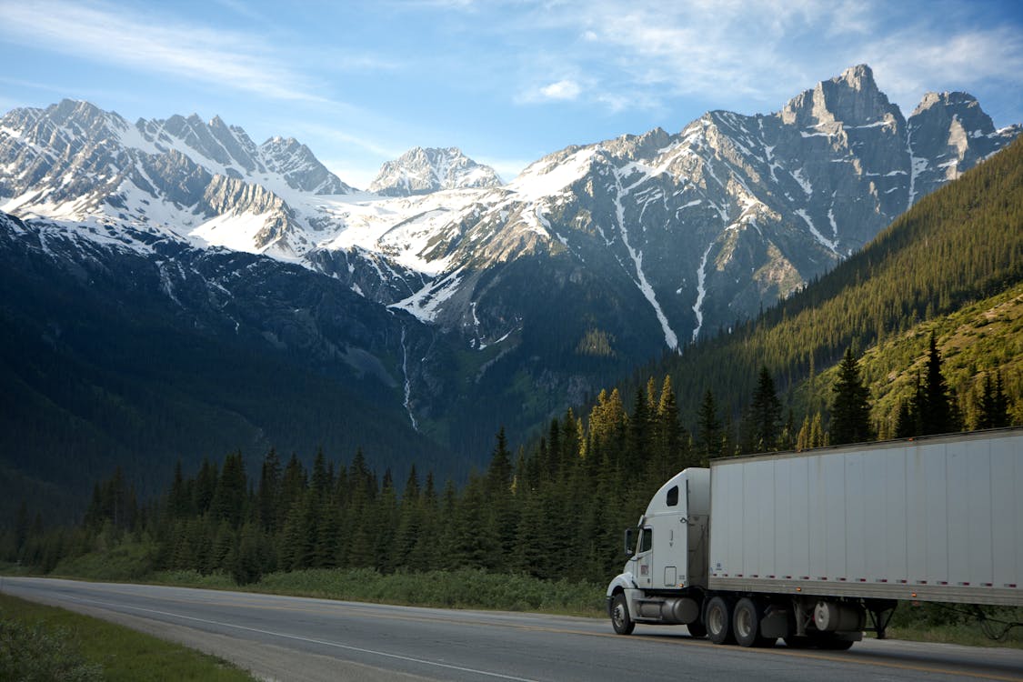 Free White Dump Truck Near Pine Tress during Daytime Stock Photo