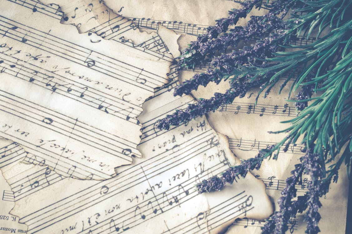 Free Purple Lavender Over Music Sheet Stock Photo