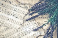 旧乐谱上熏衣草花的美学构图，令人怀旧