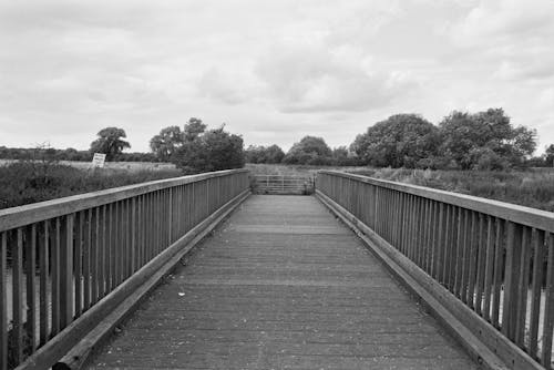 Free Grayscale Image of Bridge Stock Photo