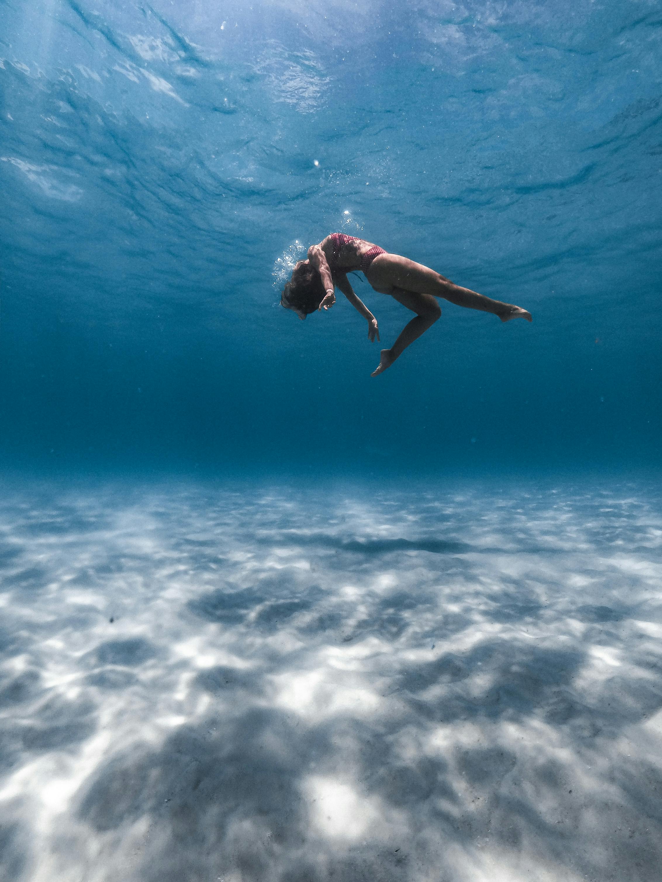 UnderwaterPhotos Download The BEST Free Underwater UnderwaterPhotos Download The BEST Free Underwater