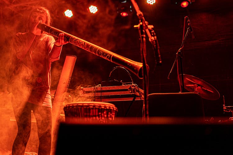 Musician Playing Music On Stage