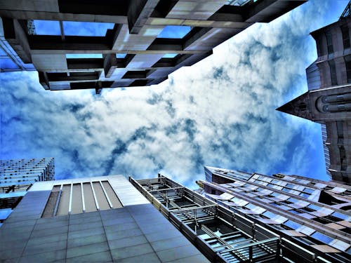 Fotografia Do Olho De Verme De Edifícios Altos