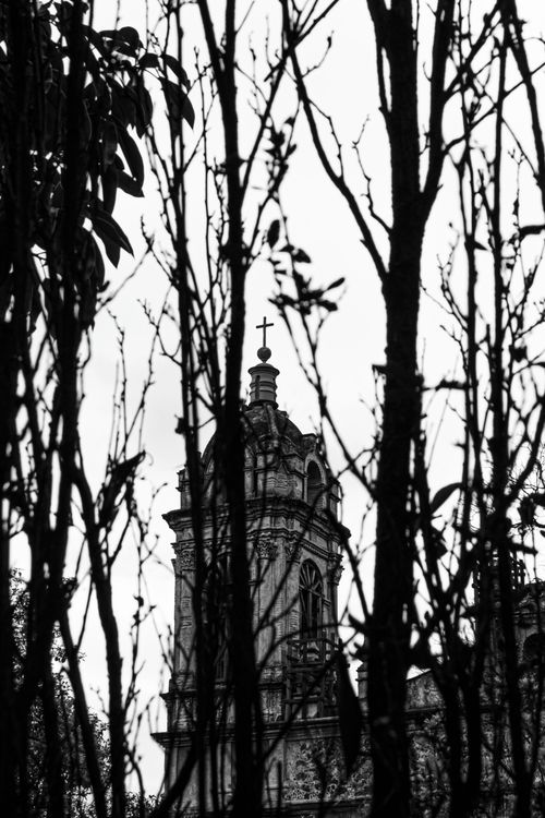 Free Intricate cathedral spire viewed through tree branches in Mexico City, captured in black and white. Stock Photo