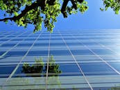 低角度拍摄的玻璃摩天大楼将树木倒映在清澈的蓝天上