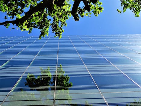 低角度拍摄的玻璃摩天大楼将树木倒映在清澈的蓝天上