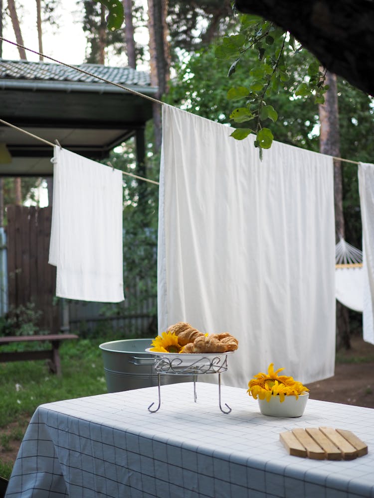 Table With Cookies And Drying Laundry In Garden