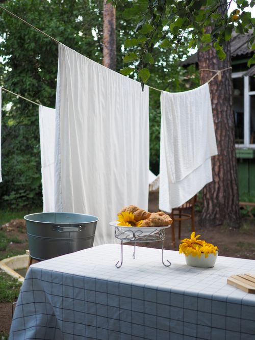 Free Inviting outdoor scene with laundry drying and bright yellow flowers on a table. Stock Photo