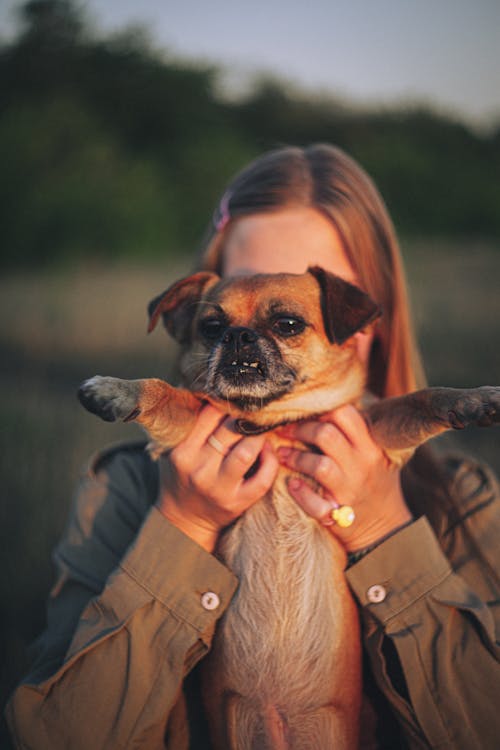 Free A Woman Carrying Her Pet Dog Stock Photo