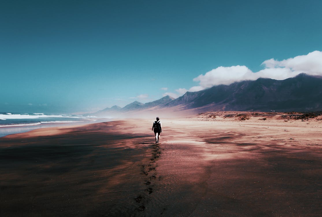 ビーチ, 一人で, 一人で歩くの無料の写真素材