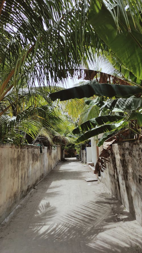 Narrow Road In Between Concrete Walls