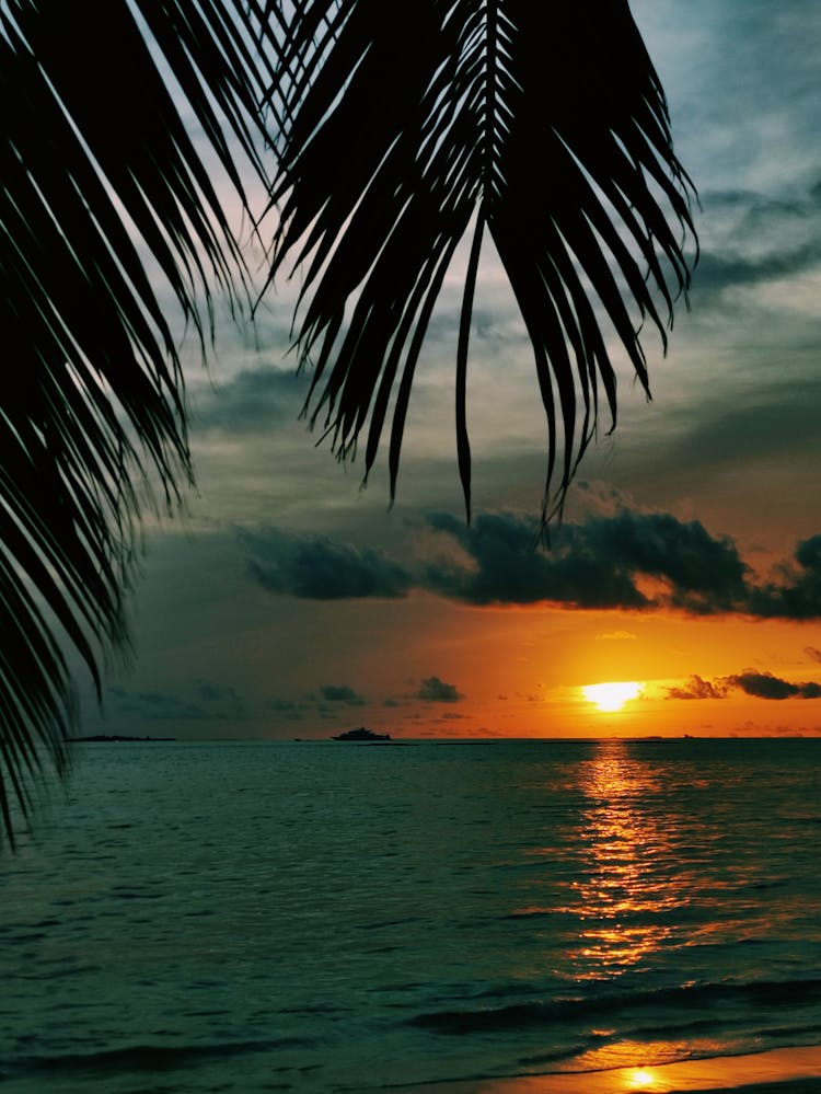 Tranquil Tropical Sunset On Sea