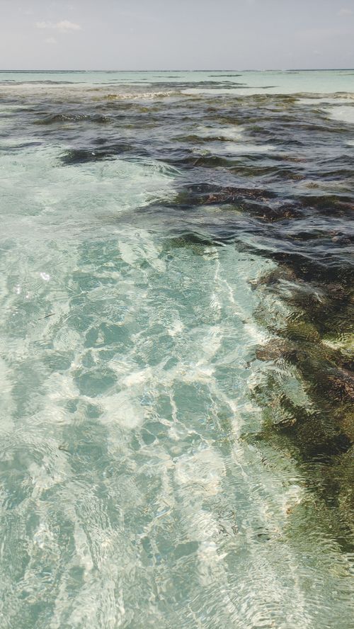 Free Beautiful shot of Dhangethi's pristine waters, capturing sea and coral textures. Stock Photo