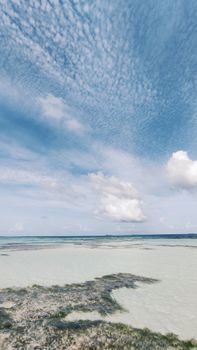 A tranquil beach view of the Maldives with clear skies and blue ocean waters.