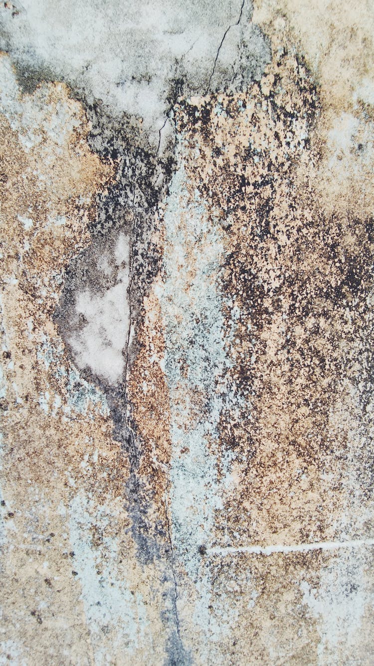 Close-up Of Stone Surface Texture