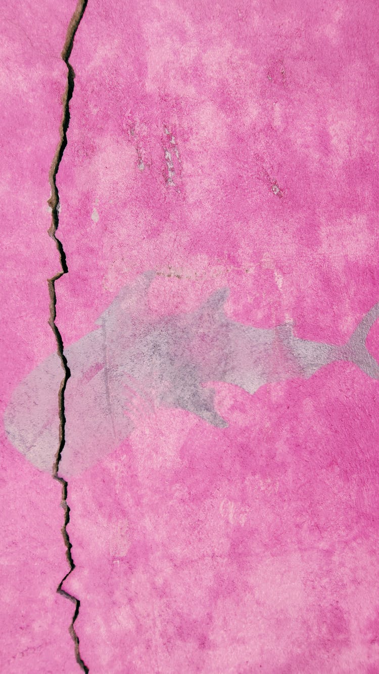 A Shark Painting On A Cracked Pink Wall