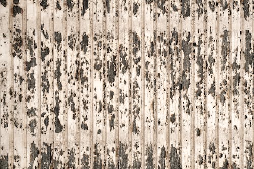 Free A Rugged Beige Wall with Peeling off Paint Stock Photo