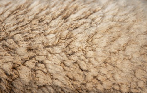 Beige Textile in Close Up Shot