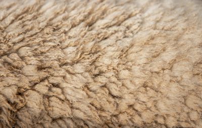 Natural beige wool tufts &mdash; photo by Magda Ehlers on Pexels