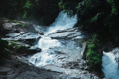 Fotografia Di Cascate Vicino Agli Alberi