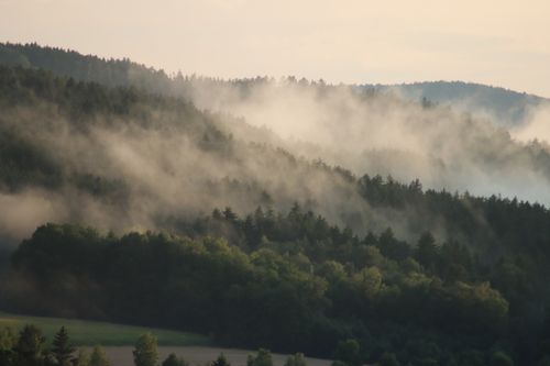 Free Serene misty forest landscape featuring rolling hills and dense trees shrouded in fog. Stock Photo