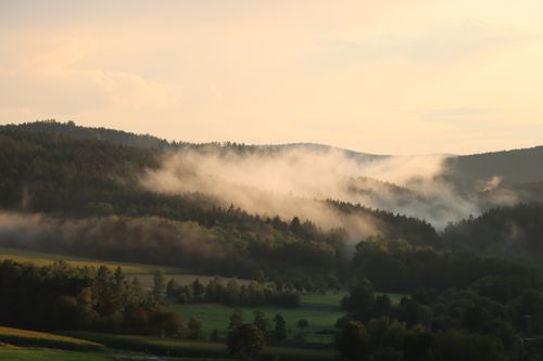 Free Serene misty forest landscape with rolling hills at dawn, capturing nature's tranquil beauty. Stock Photo