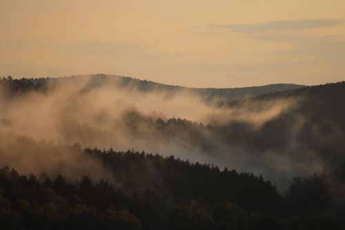 Fog rolling over a ridge — photo by Tobi &Chris on Pexels